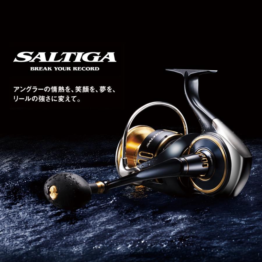 DAIWA（ダイワ） 25ソルティガ 8000-P DAIWA 25SALTIGA : グッド