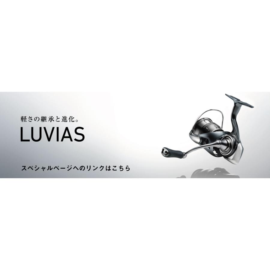 DAIWA（ダイワ） 24ルビアス LT4000-XH DAIWA LUVIAS LT4000-XH