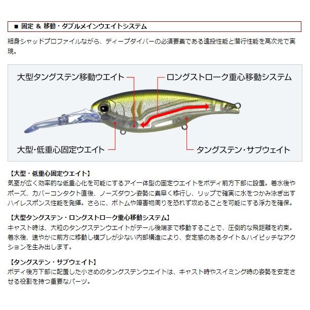 EverGreen エバーグリーン モード DDエックスオーバー EVERGREEN