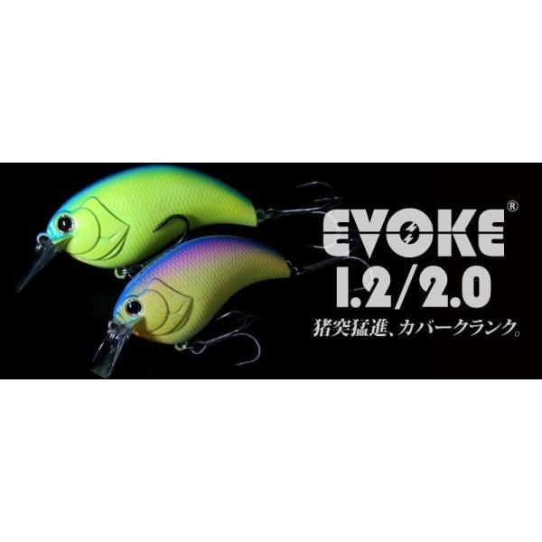 deps（デプス） イヴォーク2.0 クランクベイト deps EVOKE2.0 : グッド