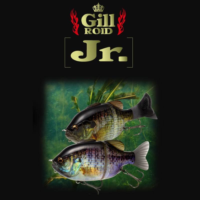 限定カラー Gill Roid Jr. ギルロイドジュニア IMAKATSU（イマカツ） ギルロイド ジュニア IMAKATSU Gill ROID Jr