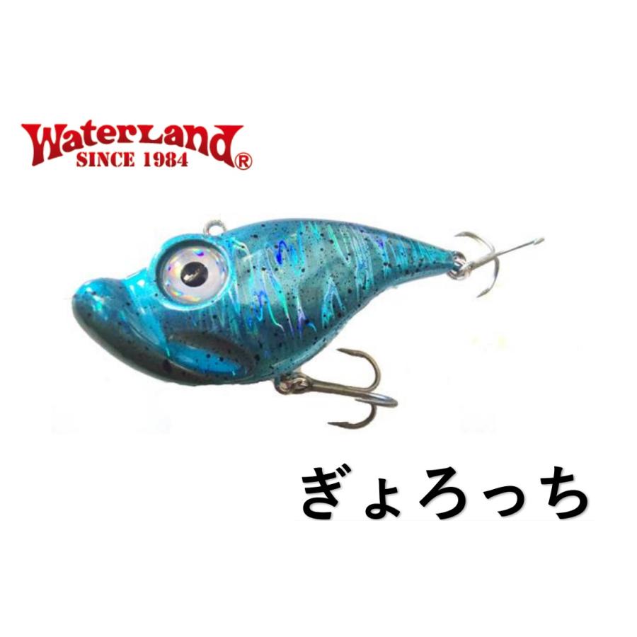 ウォーターランド　ぎょろっち　8個セット　村田基 16g 30g ウォーターランド ぎょろっち 8個セット 村田基 16g 30g