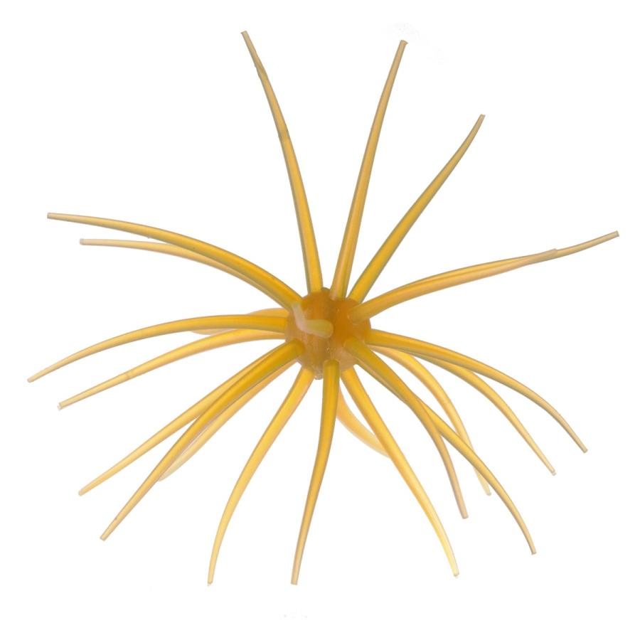 HIDEUP ハイドアップ 旧コイケ Kyu Coike : グッドオープンエア