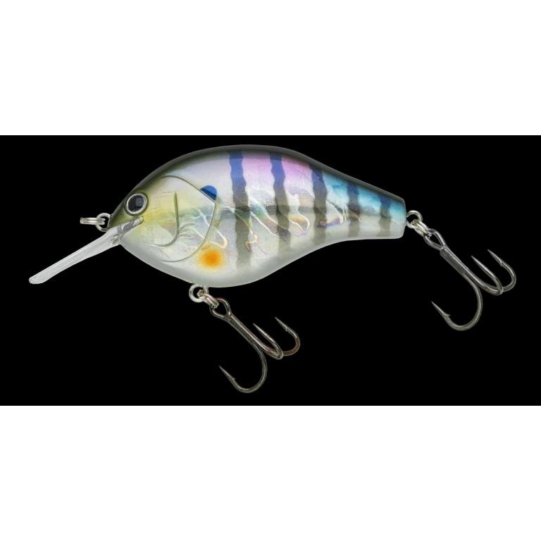 マルキュー（MARUKYU） ノリーズ マルノミフラットコブリ53