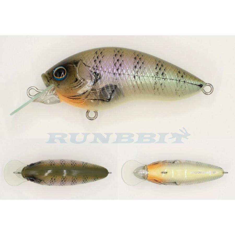 グラスルーツ ランビット GRASSROOTS RUNBBIT : グッドオープン