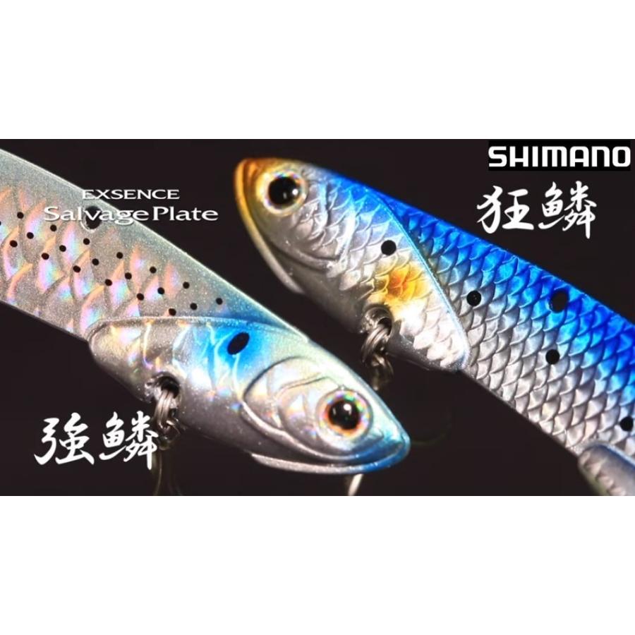 エクスセンス サルベージプレート 115es Shimano Exsence Salvage Plate 115es グッドオープンエアズ マイクス 通販 Paypayモール