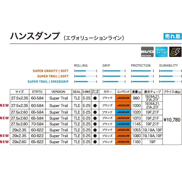 SCHWALBE HANS DAMPF(ハンスダンプ)ADDIX/ SCHWALBE(シュワルベ SCHWALBE HANS DAMPF(ハンスダンプ)ADDIX/ SCHWALBE(シュワルベ