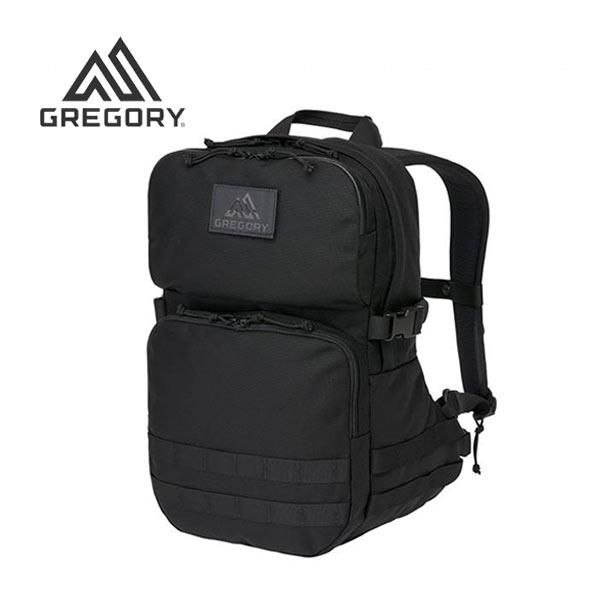 【購入不可】追加画像 GREGORY（グレゴリー） アサルトパック【22リットル】GREGORY ASSAULT
