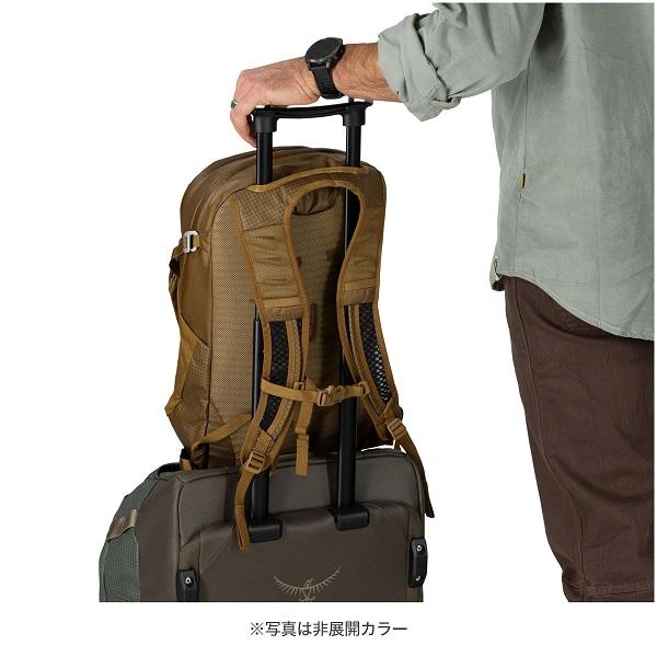 OSPREY（オスプレー） デイライトプラスリミテッド : グッドオープン 