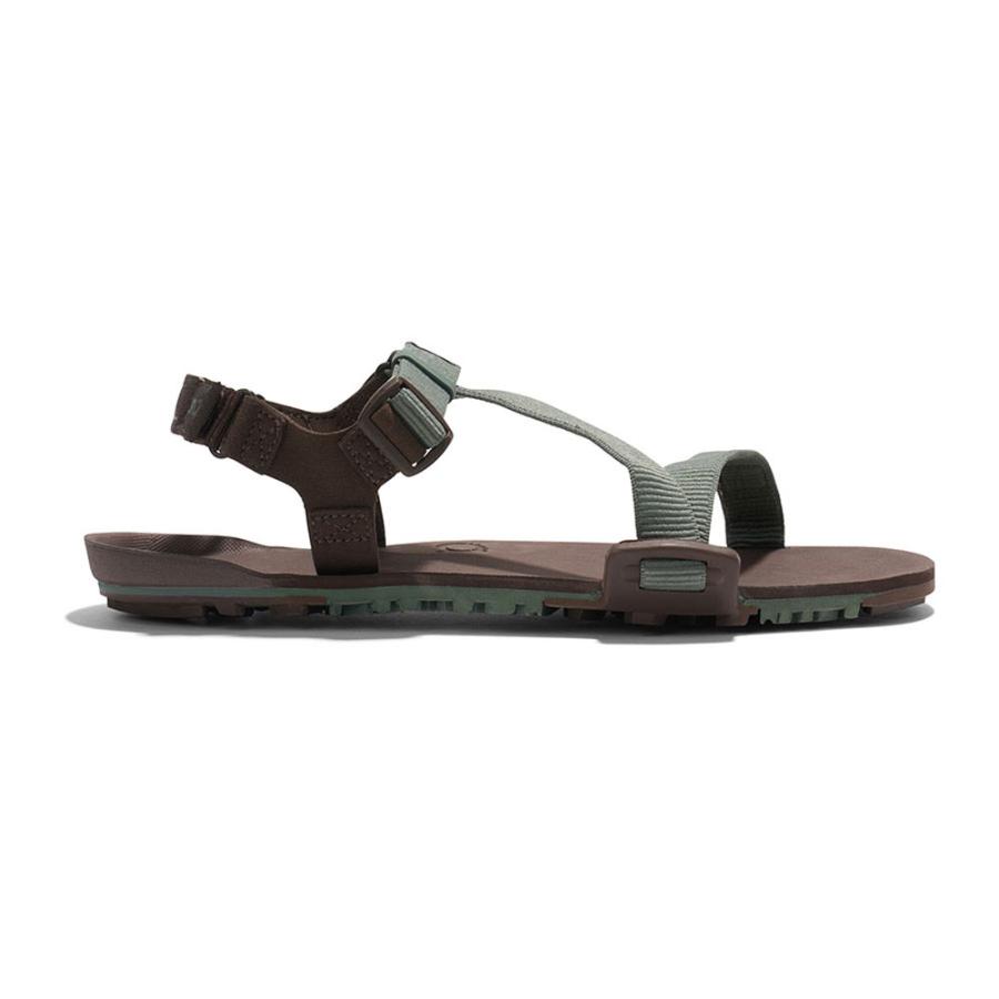 XEROSHOES（ゼロシューズ） M's ZトレイルEV Shoes Z-Trail EV Xero