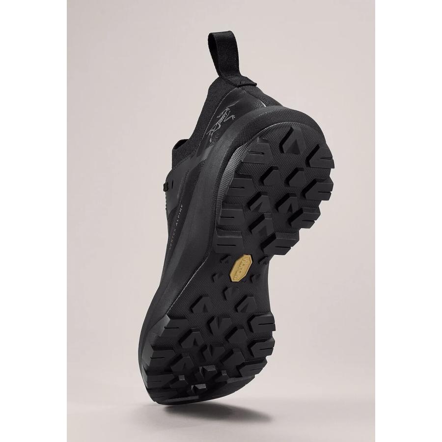 ARC'TERYX アークテリクス バーテックス アルパイン ゴアテック ARC'TERYX アークテリクス バーテックス アルパイン ゴアテック
