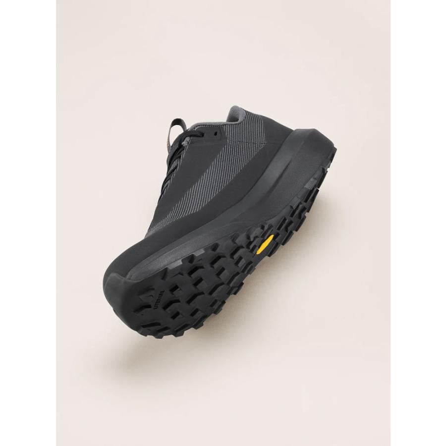 ARC'TERYX（アークテリクス） ノーバン LD 4 ゴアテックス ARC'TERYX