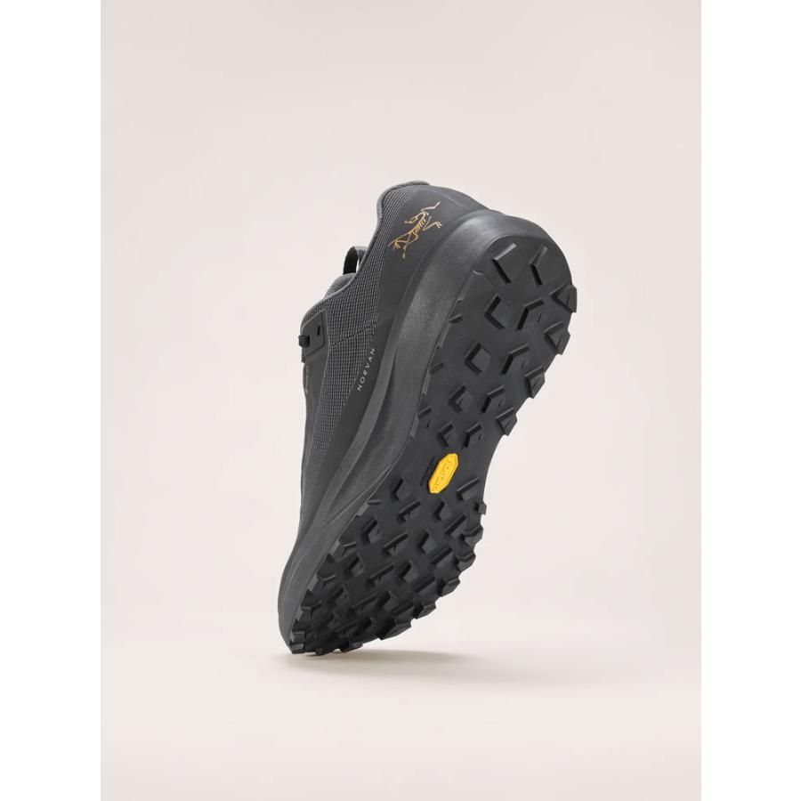 アークテリクス ノーバン LD 4 ゴアテックス ARC'TERYX NORVAN LD 4 GTX M ハイキング トレッキング 防水 メンズ_5