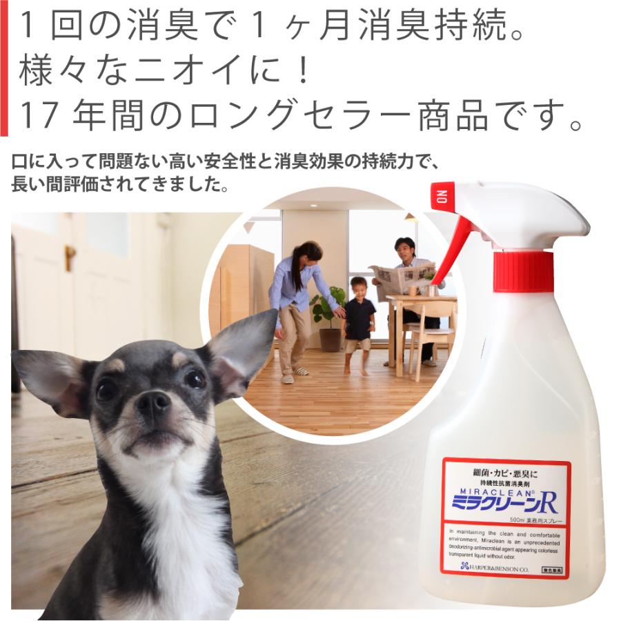 ミラクリーンR　500ml 2本セット kt-gigaweb_794-harper-