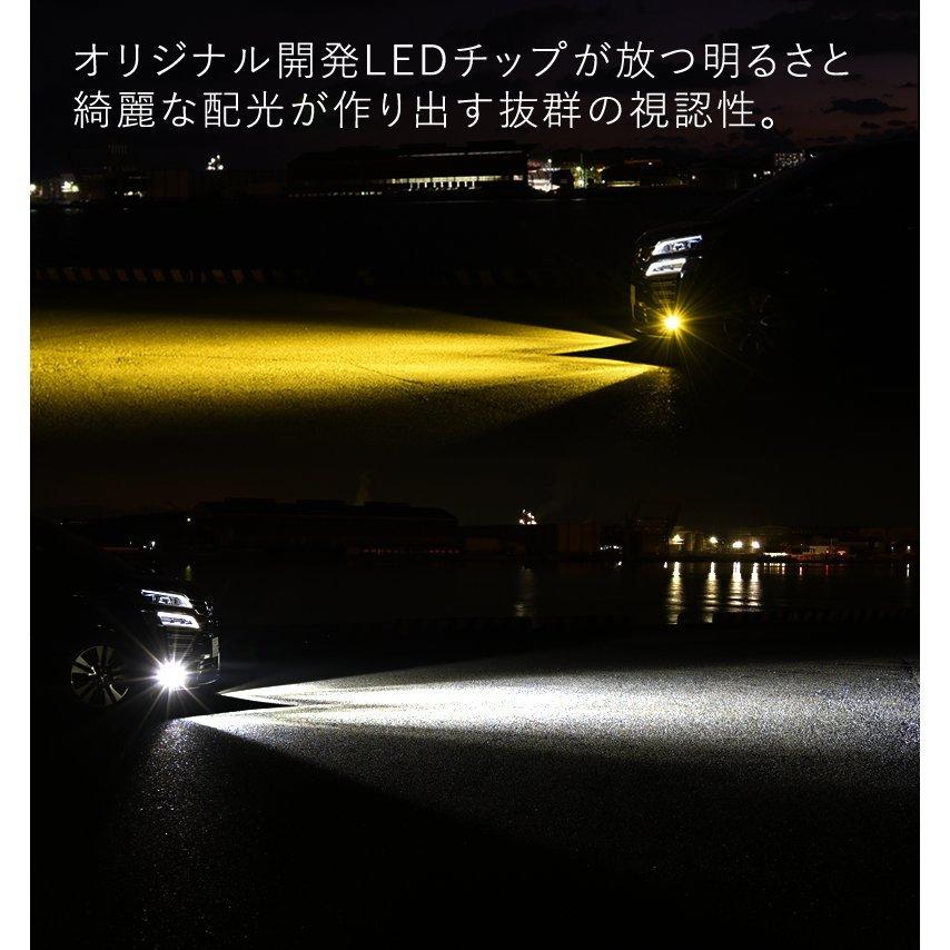 毎日激安特売で 営業中です毎日激安特売で 営業中ですVELENO