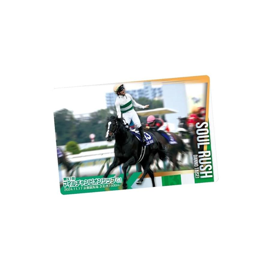 予約商品-25/12/22発売-未開封BOX】サラブレッドホースコレクション