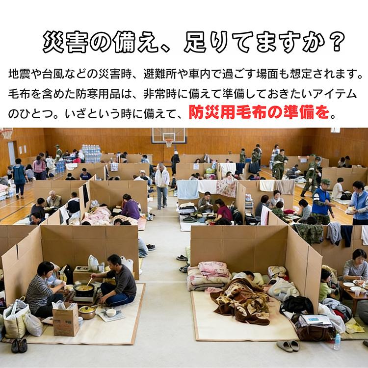 毛布 防災毛布 シングル 真空パック 災害ブランケット 難燃 日本防災