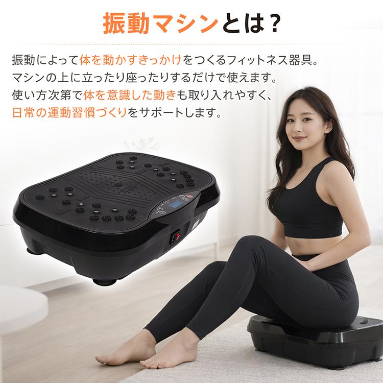 Hill Stone（ヒルストーン） ブルブル振動マシン ステッパー