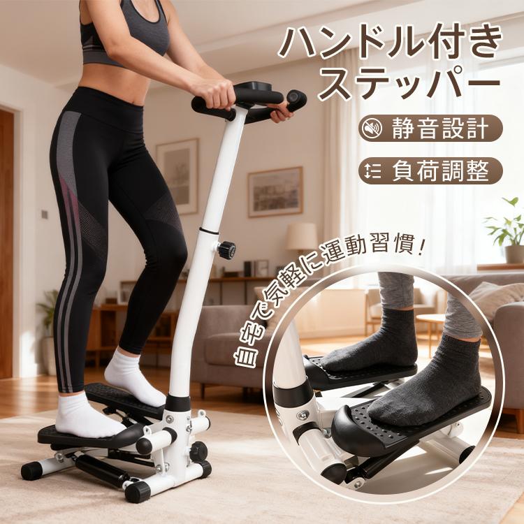 Hill Stone（ヒルストーン） ステッパー ハンドル付き ダイエット器具