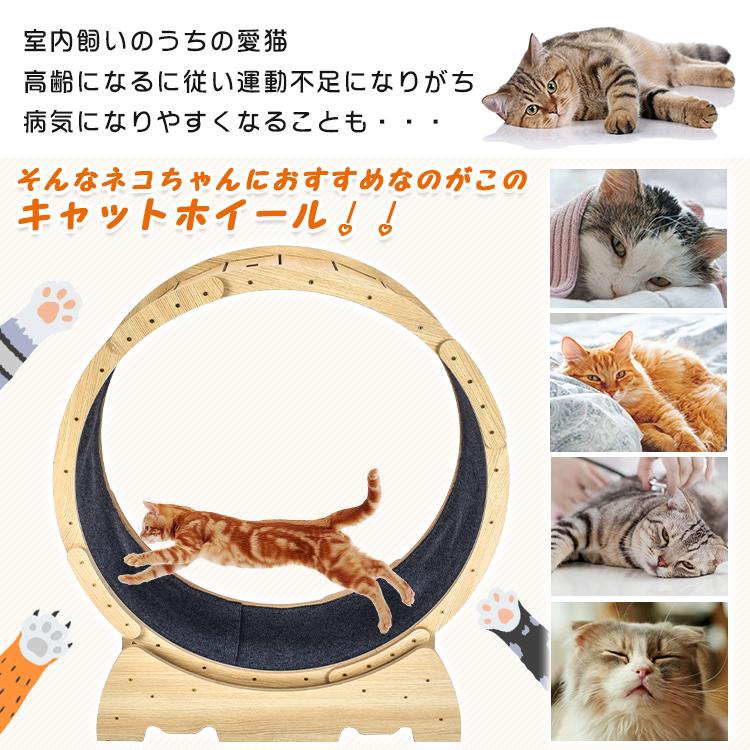 猫 トレッドミル キャット ホイール 安い ローラー ルームランナー 回し車 観覧車 安全 エクササイズ おもちゃ 運動不足 ストレス ランニング  ペット pt071