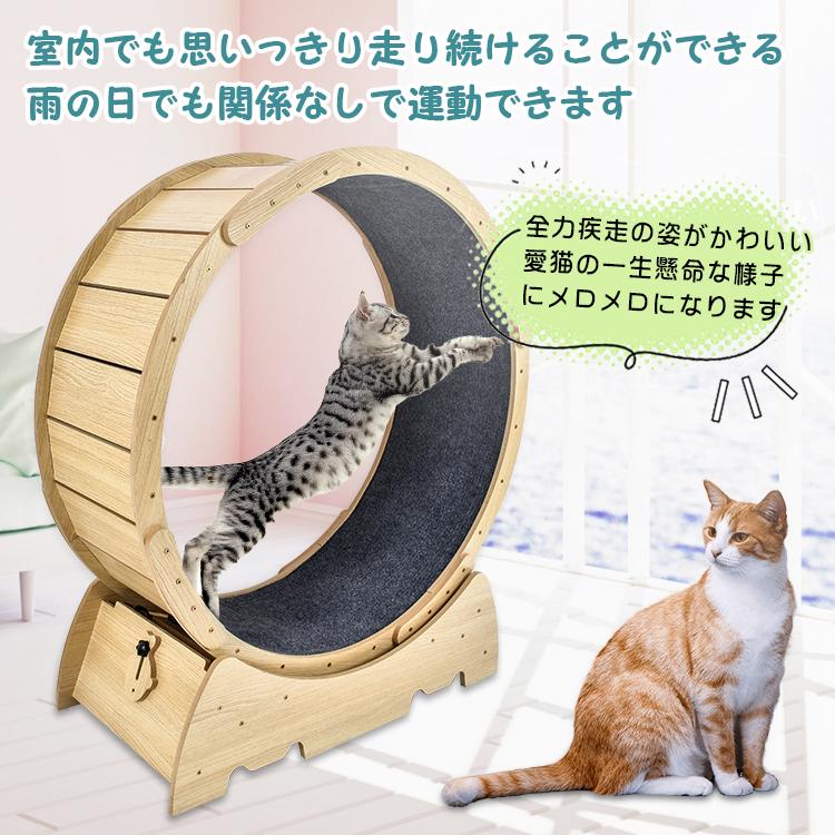 猫 トレッドミル キャット ホイール 安い ローラー ルーム 猫 トレッドミル キャット ホイール 安い ローラー ルーム