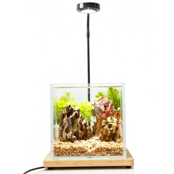 即日発送 水槽照明 アクアリウムライト Led 水槽ライト 7w 竹製 水槽 ベース 25cm 小型 金魚 水草 植物育成 熱帯魚 角度調節可能 送料無料送料無料 134 100 Wellvie 通販 Yahoo ショッピング
