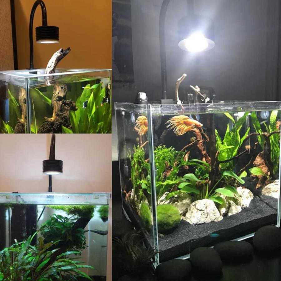 即日発送アクアリウムライト 水槽用照明 Cob Led ライト 観賞魚 サンゴ 水草 調光 スポットレンズ付き 白色 cm 45cm Lominie Leite Asta送料無料 Gg052 60 Wellvie 通販 Yahoo ショッピング