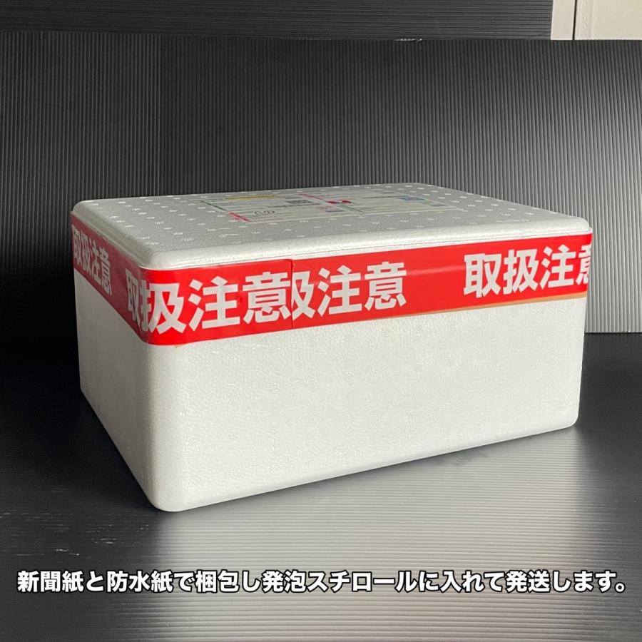 冷凍便　ドライアイス　5ｋｇ　スライス1ｋｇ×5枚 |  | 01