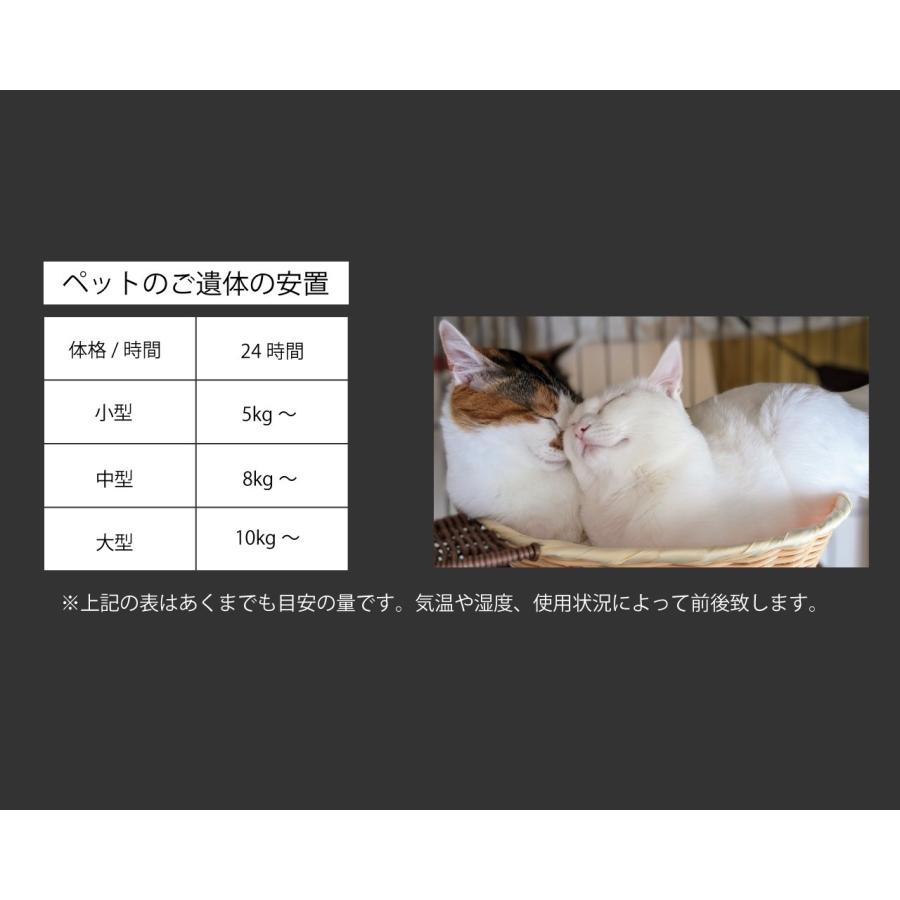 冷凍便　ドライアイス　5ｋｇ　スライス1ｋｇ×5枚 |  | 03