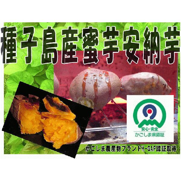 種子島安納いも Ｍサイズ10kg 紅 種子島産安納芋紅ミックスサイズ10kg【送料無料 別途送料