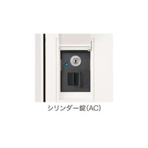 Nasta（ナスタ） 爆買 宅配ボックス ナスタKS-TL05RAC-P295（ボックス