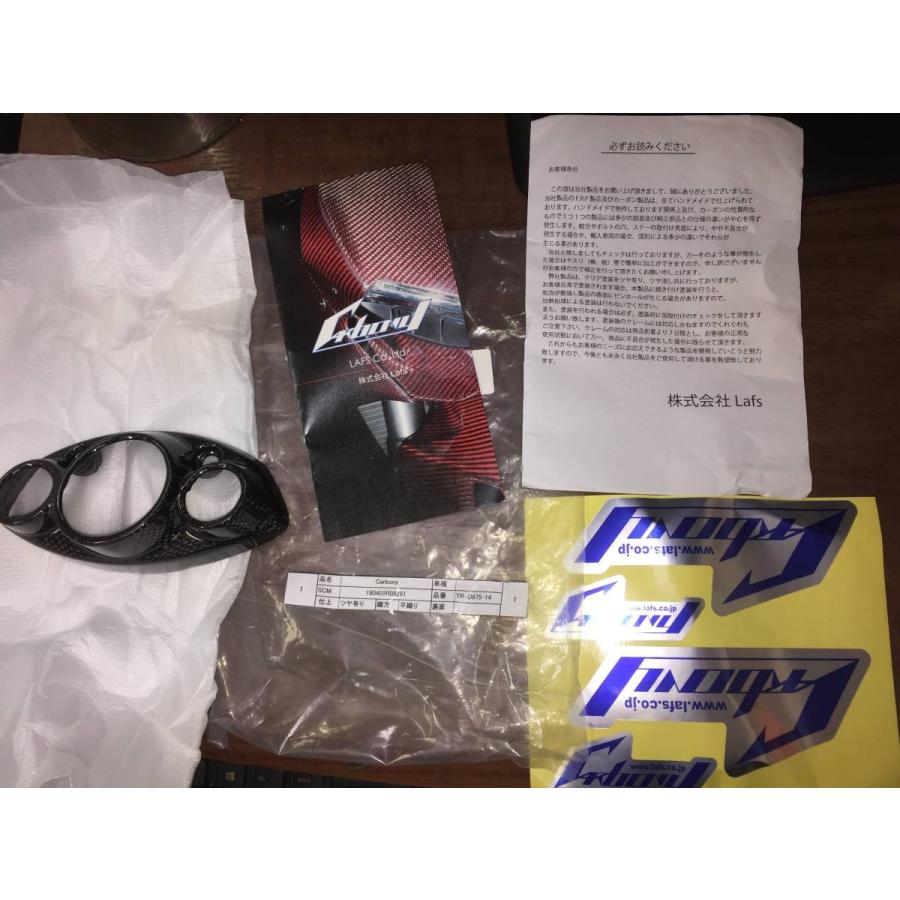 トライアンフ デイトナ675 06-12 Carbony カーボニー ドライカーボン