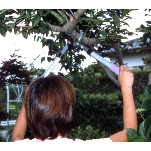 マック 力のいらないガーデニング鋏６点セット (GS-6C) 【送料無料 SALE】 セール ガーデニング 園芸 農具 剪定 植木 バサミ はさみ 庭 MAC | ブランド登録なし | 01