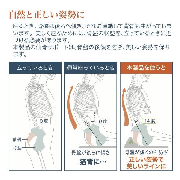 仙骨サポート座布団 【送料無料】 クッション 体圧分散 姿勢 腰痛 背筋