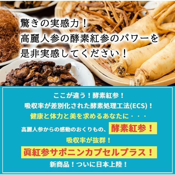 酵素紅参眞紅参サポニンカプセルプラス (化粧箱なし)【送料無料