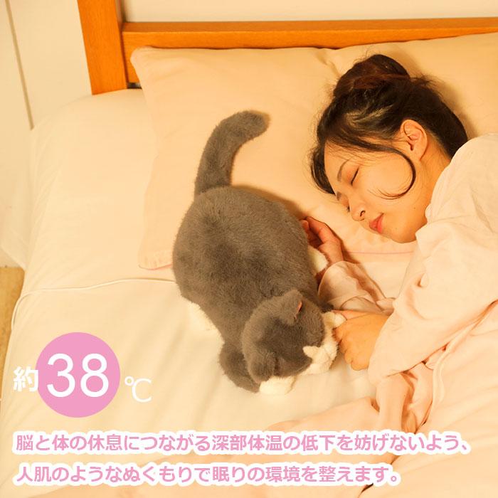 リラピー Relapy ブリティッシュショートヘア 電子ペット ぬいぐるみ ネコ ねこ 猫 動物 おもちゃ 鼓動 心音 体温 癒し 睡眠 快眠 群馬電機 RLP1-CT 580210_3