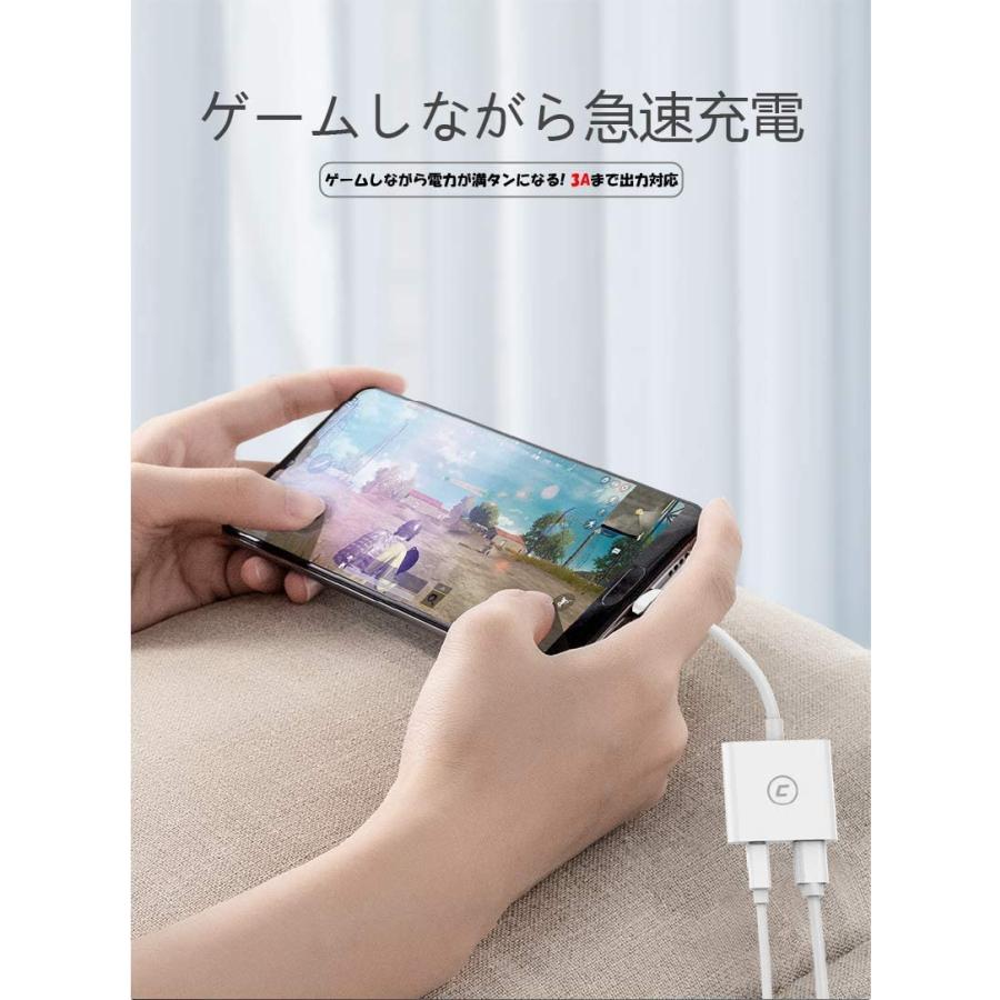 C-force CF020 USB Type-C 2in1 3.5mm イヤホン |  | 04