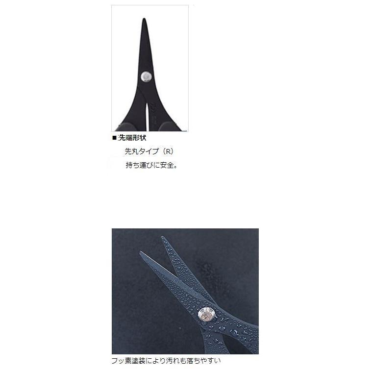 週末割　新品未使用　ブラックデザイン　ノーマルプレート　2枚セット ダイワ0775 2705活〆マルチシザー190R＋F ブラック : KTS SHOP