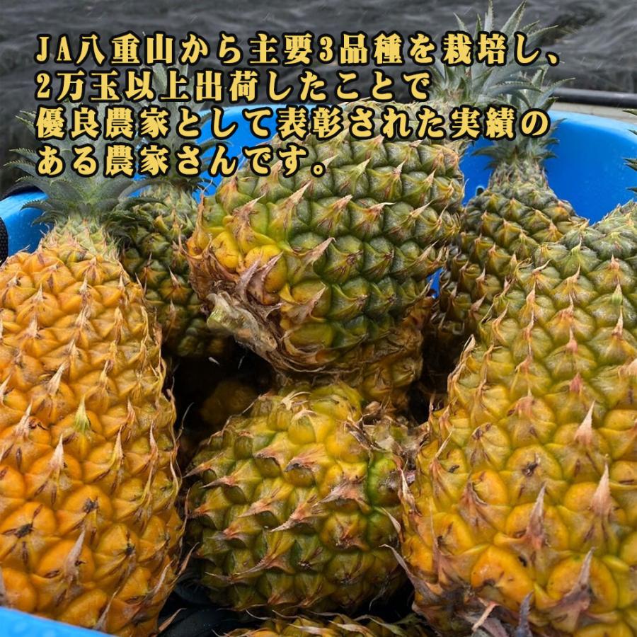 パイナップル ボゴール種 フルーツ 果物 南国 ギフト 母の日 沖縄県産