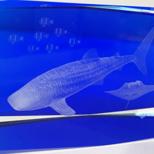 置物 雑貨 沖縄 お土産 シーサー 3Dクリスタル XL ジンベエザメ : 琉球