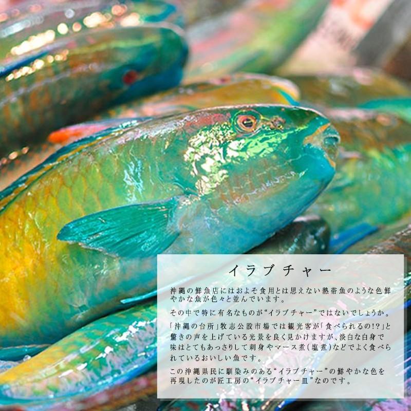 和食器 鉢 皿 ガラス おしゃれ 渦潮イラブチャー皿・大 : 琉球ガラス