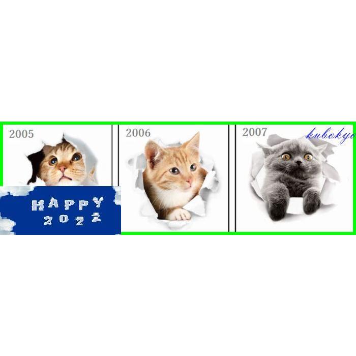 ウォールステッカー 壁紙シール 面白い 子供部屋 猫 キャット 可愛い 3d 模様替え イベント インテリア オシャレ 室内装飾 Pe73 久保井 恭 通販 Yahoo ショッピング