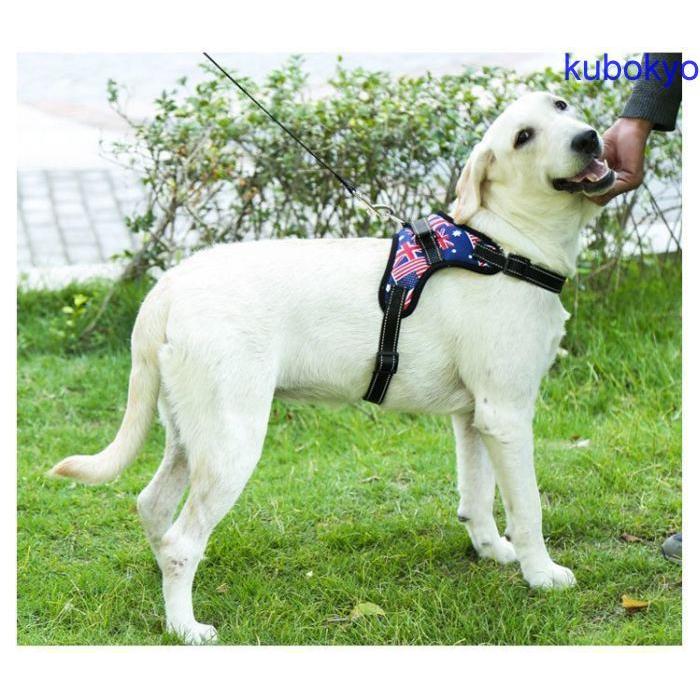 ペット用 犬用 ハーネス 胴輪 ワンタッチバックル マジックテープ 持ち手付き おしゃれ 迷彩柄 国旗柄 シンプル 無地 お散歩用品 おさんぽグッズ 7pvn4klhwu Pademolay Org