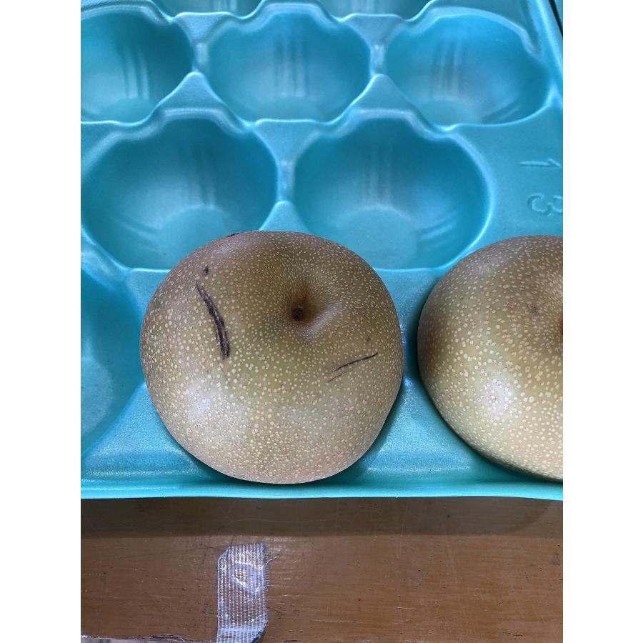 豊水 家庭用10kg特大20玉 : 龍口農園 - 通販 - Yahoo!ショッピング
