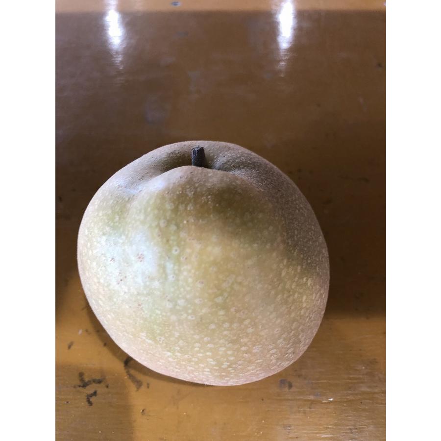 豊水 梨 特大サイズ 10キロ 豊水 家庭用10kg特大22玉 : 龍口農園 - 通販 - Yahoo!ショッピング