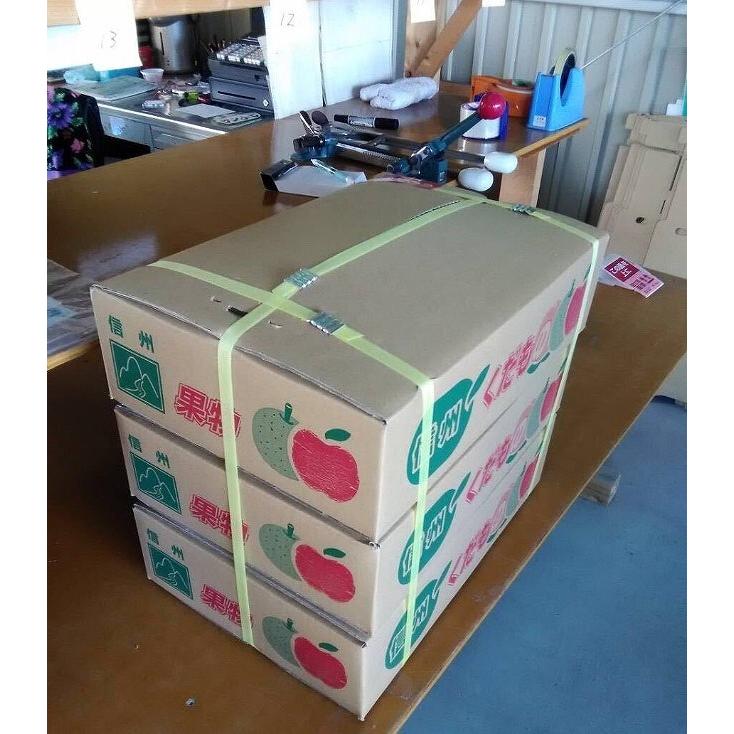 予約品2026年10月下旬〜発送分 早生ふじ贈答用5kg20玉Sサイズ : 龍口