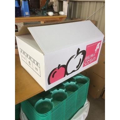 予約品2026年10月下旬〜発送分 早生ふじ贈答用10kg30玉（15×2）Lサイズ