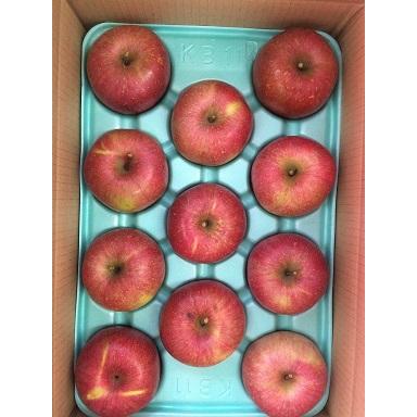 予約品2026年11月発送分 サンふじ家庭用10kg22玉 : 龍口農園 - 通販