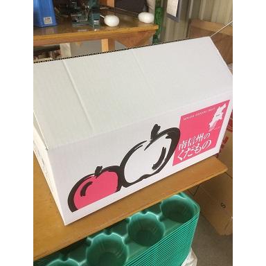 予約品2026年11月発送分 サンふじ家庭用10kg26玉 : 龍口農園 - 通販