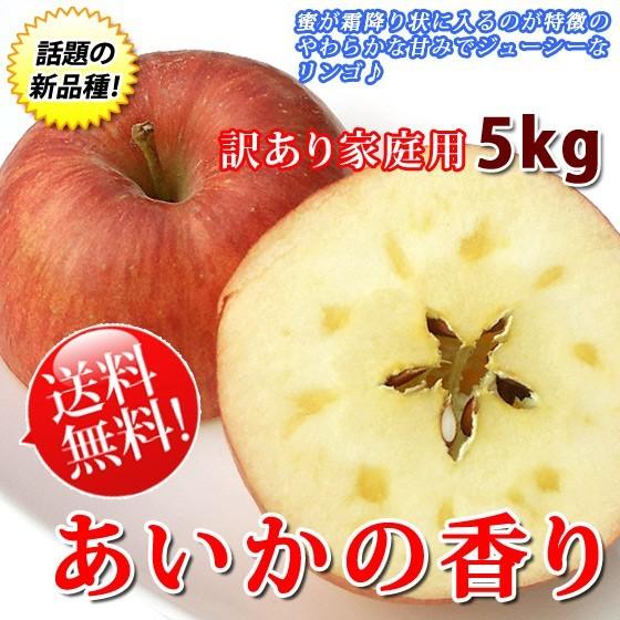 あいかの香り 訳あり リンゴ 送料無料 長野県産 5kg 家庭用